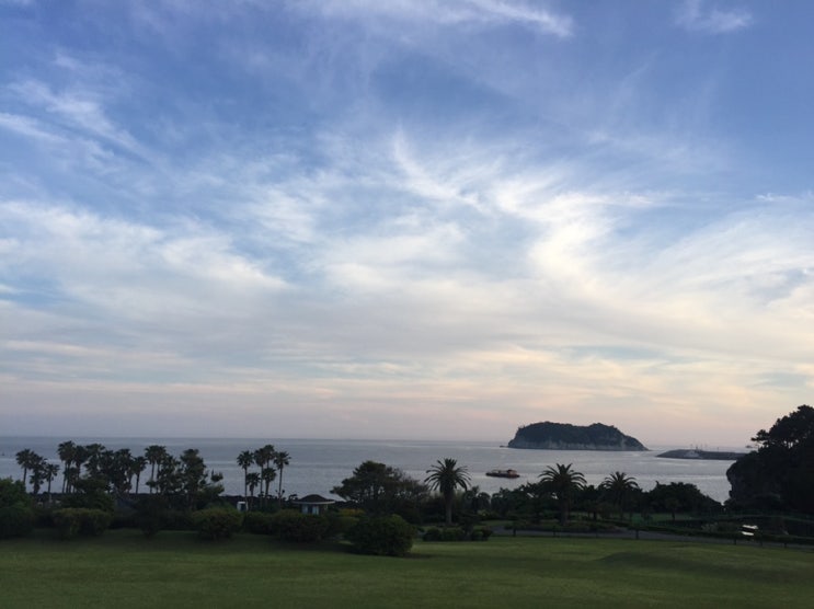  아 제주도 가고 싶다! 힐링음악 제주도의 푸른밤 들으며 쓰담쓰담ㅠ