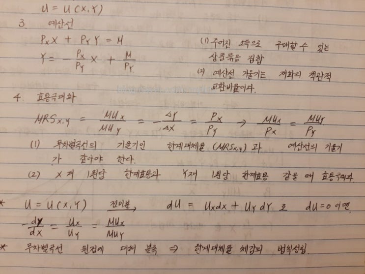  확실성하에서 소비이론: 효용극대화: 무차별곡선: 미시경제학 이론: 행정고시 경제학