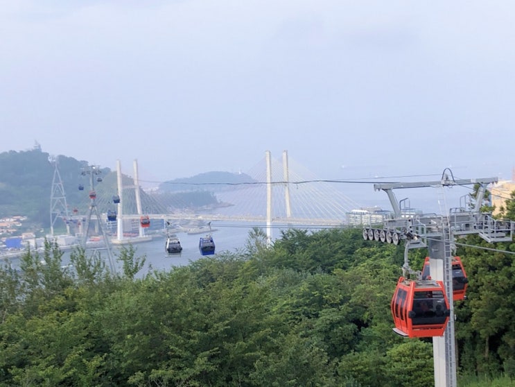  여수 해상케이블카 오동도부터 돌산대교까지 완벽코스