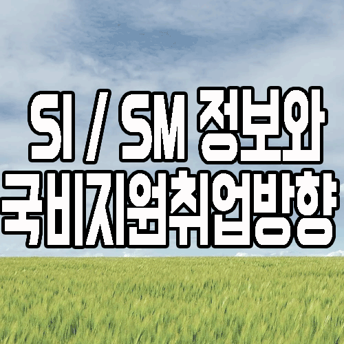 개발자 취업 : 국비지원 교육으로 SI, SM 어디로 취업할까?