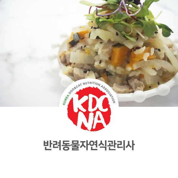 [애견수제간식 창업반] 한국반려동물영양협회 자연식관리사 전주 대전 펫푸드 자격증 교육_590