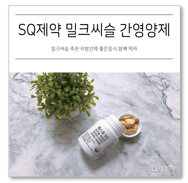  밀크씨슬 추천 지방간에 좋은음식 함께 먹자