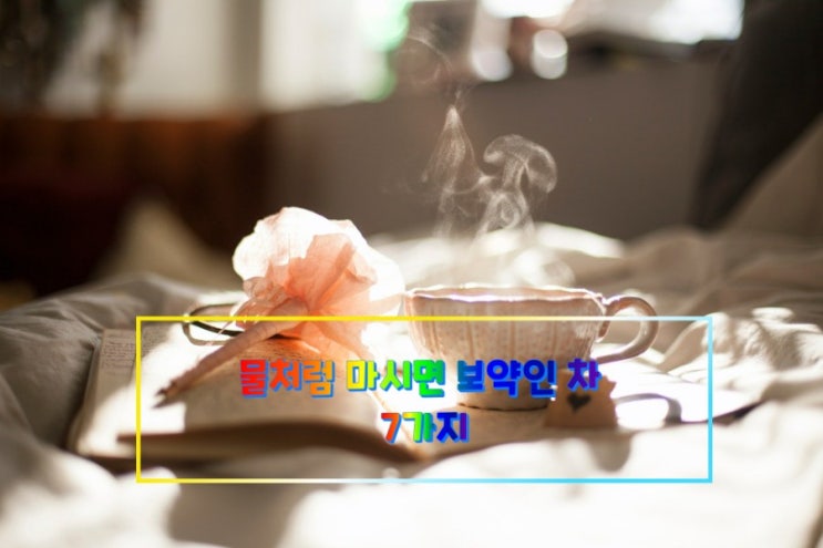 물처럼 마시면 보약인 차 7가지 물처럼 마시면 보약인 차 7가지