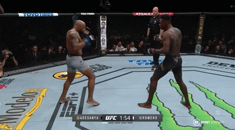 UFC 248 아데사냐 vs 로메로 라운드별 모든 타격 움짤(GIF) UFC 248 아데사냐 vs 로메로 라운드별 모든 타격 움짤(GIF)