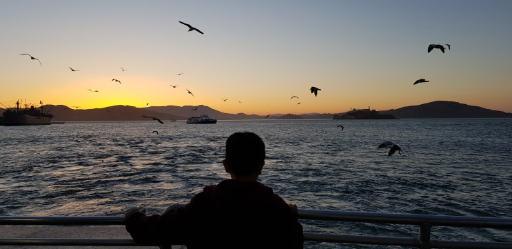  San Francisco Ferry 2 | Fhisherman's Wharf 저렴한 통근 페리 이용한 샌프란 시스코 여행 2 - 피셔맨와프