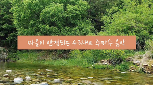 자연 속 명상 #3. 집중과 편안함에 도움을 주는 432Hz 주파수 음악 | 마음이 안정되는 음악 | 수면음악, 힐링음악, 불면증음악, 명상음악 자연 속 명상 #3. 집중과 편안함에 도움을 주는 432Hz 주파수 음악 | 마음이 안정되는 음악 | 수면음악, 힐링음악, 불면증음악, 명상음악