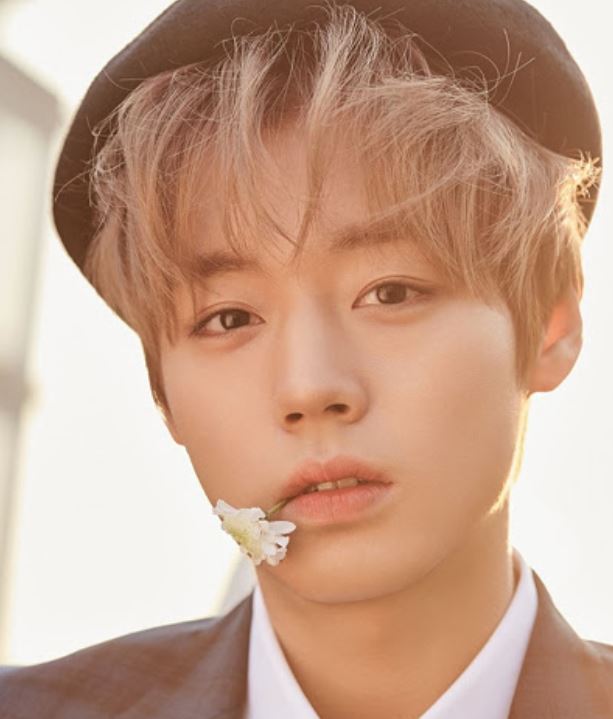  박지훈 나이 키 학력 고향 가수 워너원 연애혁명 노래 몸무게 혈액형 가족관계 소속사 데뷔 인스타 배우 탤런트