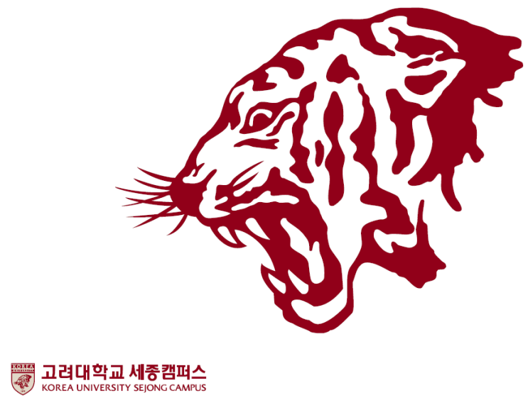  고려대학교(세종) 2021학년도 적성고사 대비 자료
