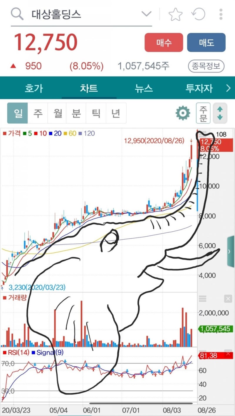 대상홀딩스 : 네이버 블로그