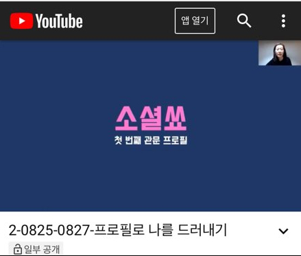  온라인으로 만난 사이, 소셜쑈와 쑈원들