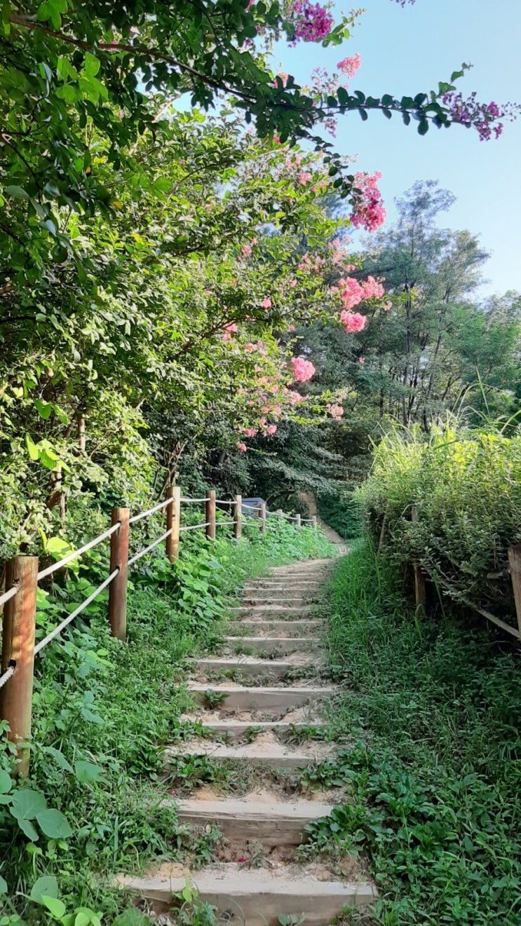  자꾸 기운이 없고 기분이 가라앉는 날들이 반복이었던 요즘 (feat. 내가 나를 위해 한 일은 뭘까요?)