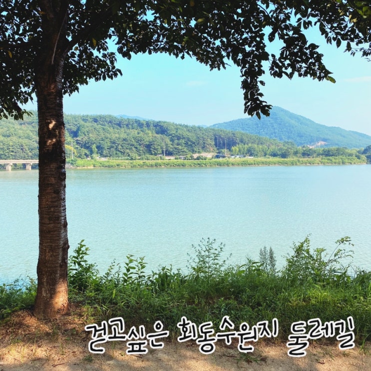  걷고싶은 회동수원지 둘레길