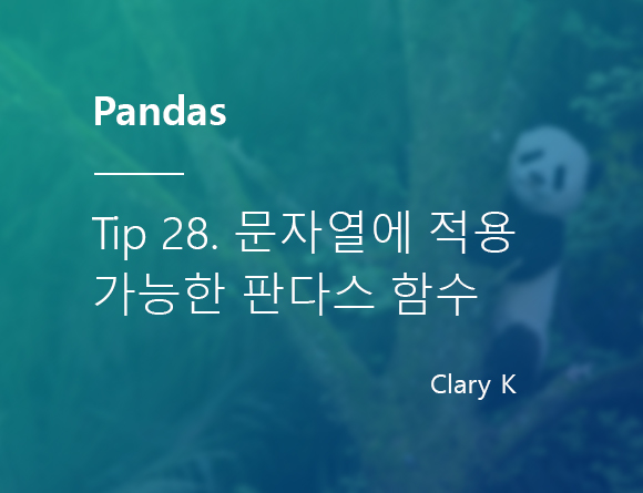 [파이썬] 판다스(pandas) 팁28. 문자열(str)에 적용 가능한 판다스 함수 전체 목록
