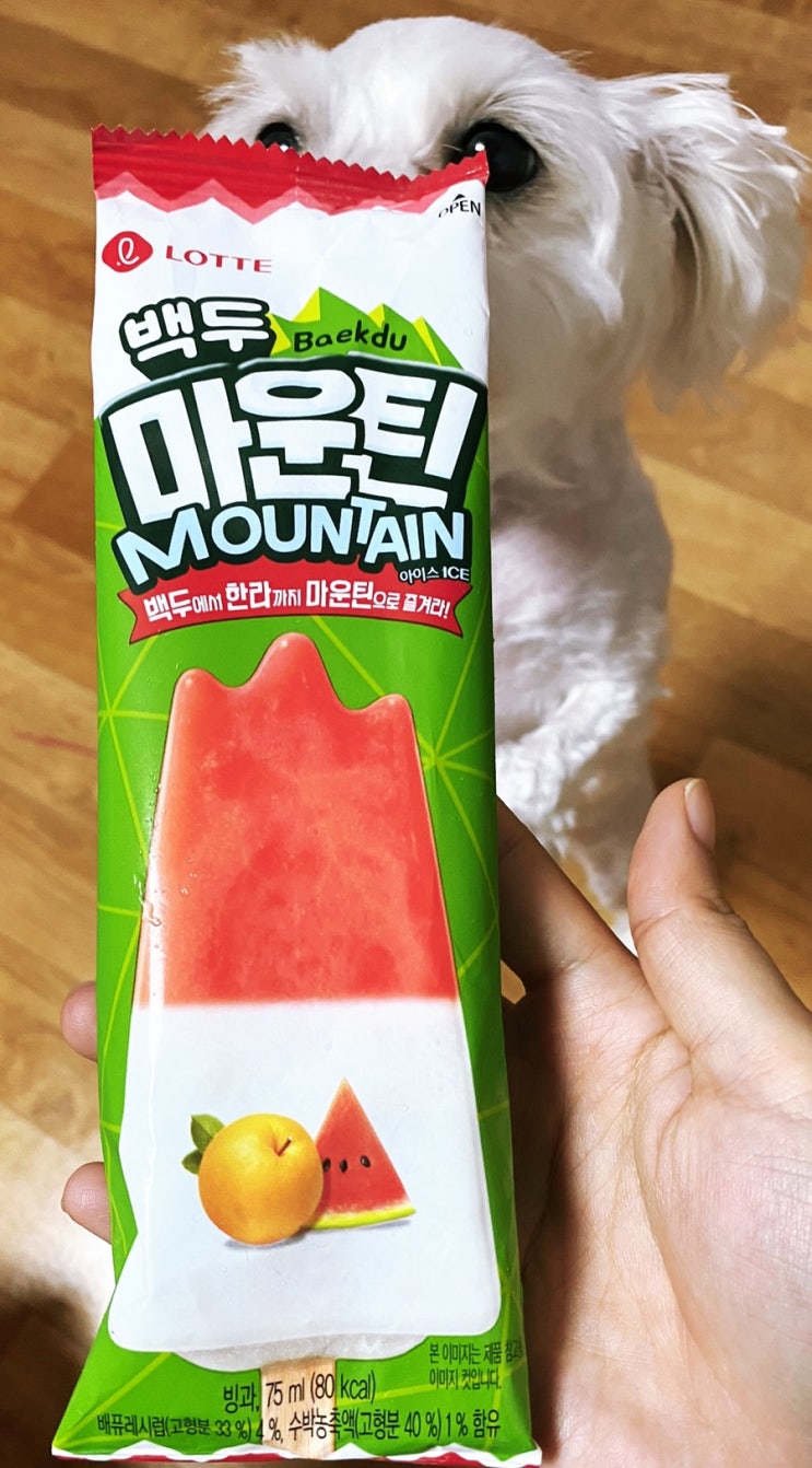 •리뷰•"백두마운틴" 롯데푸드 아이스크림 리얼리뷰