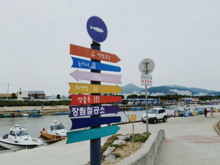  [부산 가볼만한 곳] 색색의 감성과 이국적 낭만의 부네치아 장림포구