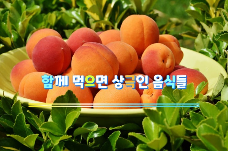 함께 먹으면 상극인 음식들 함께 먹으면 상극인 음식들