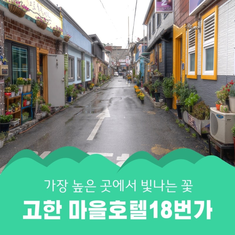 가장 높은 곳에서 빛나는 꽃, 고한 마을호텔18번가 : 네이버 블로그 가장 높은 곳에서 빛나는 꽃, 고한 마을호텔18번가 : 네이버 블로그