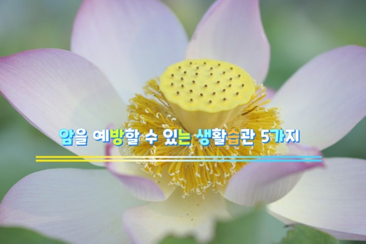  암을 예방할 수 있는 생활습관 5가지