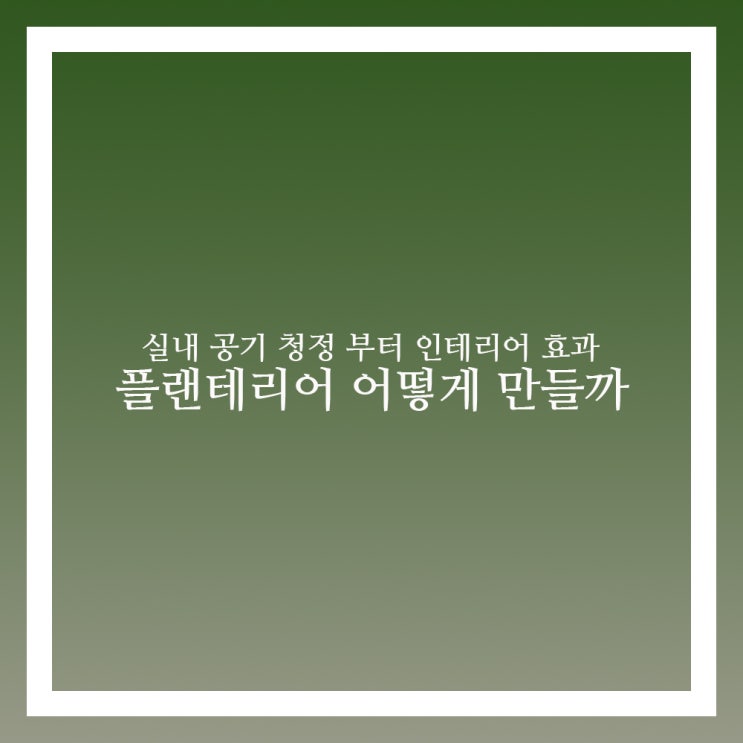  플랜테리어 그린테리어 어떻게 꾸미지