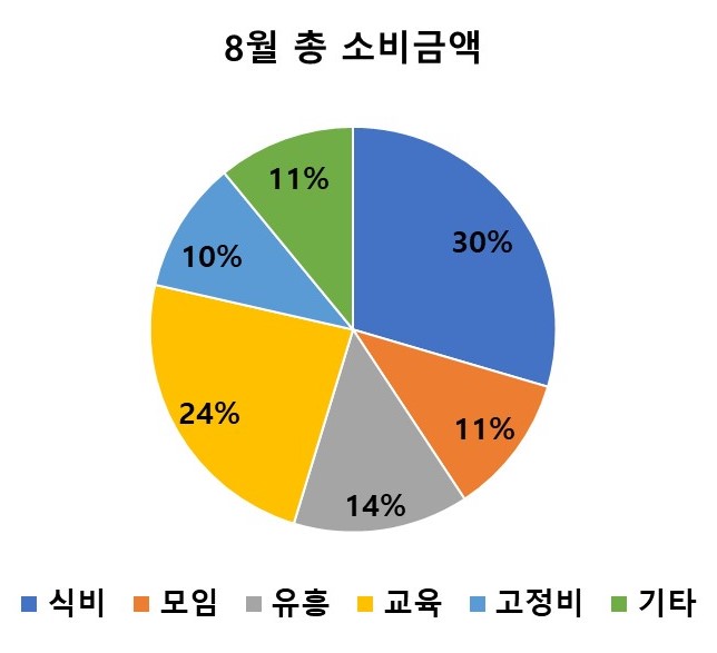 20대 백수의 8월 자산흐름 정리하기