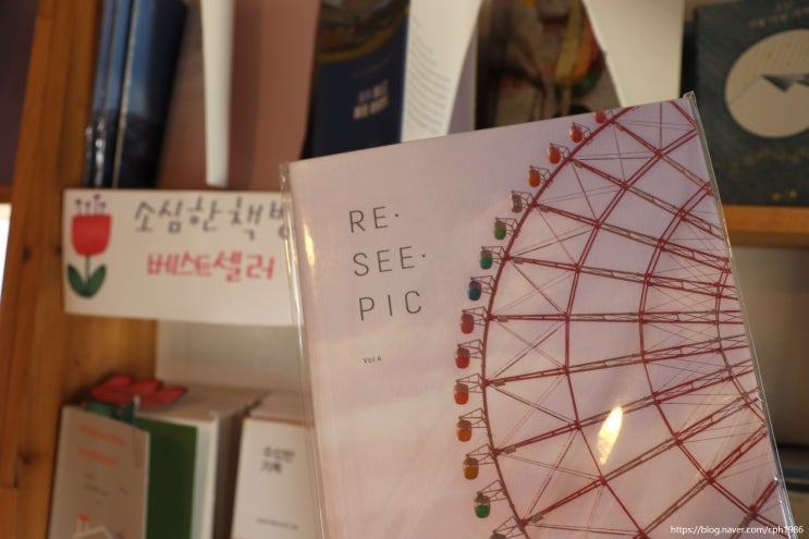  제주 속 또다른 세계 종달리 소심한책방