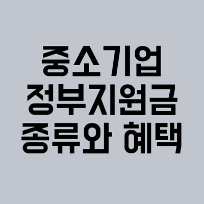  중소기업 정부지원금 종류와 혜택 정리합니다.
