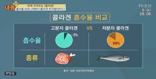  저분자피쉬콜라겐 비타민C와 복용 효능부작용 : 피부노화주름 관절염 상처회복 콜라겐주의사항권장량