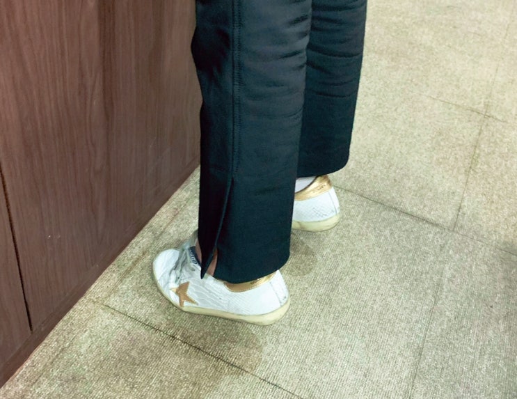  [ 세종일기 / 돼지파티 ] 우와장창