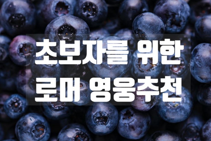  로머 초보를 위한 펜타스톰로머영웅추천