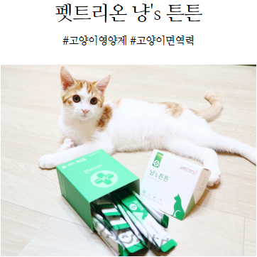  고양이영양제 펫트리온 냥's튼튼으로 고양이면역력 챙기자!