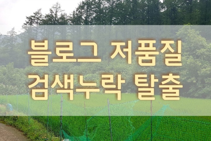  내 블로그 저품질 검색 누락 진단과 해결 방법 자세히 알려드립니다 우은시 골드온강사님