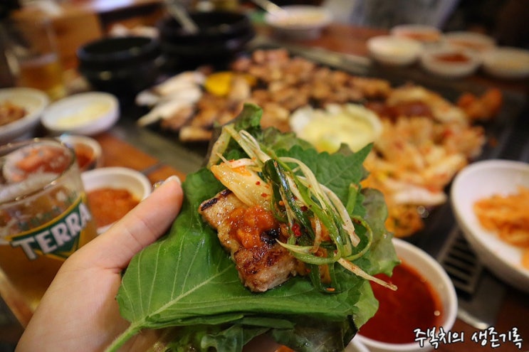  교대역맛집|서비스가 엄청난 삼겹살맛집 탐라도야지