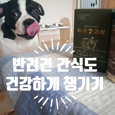 강아지수제간식 나인페츠수제간식 9PETS