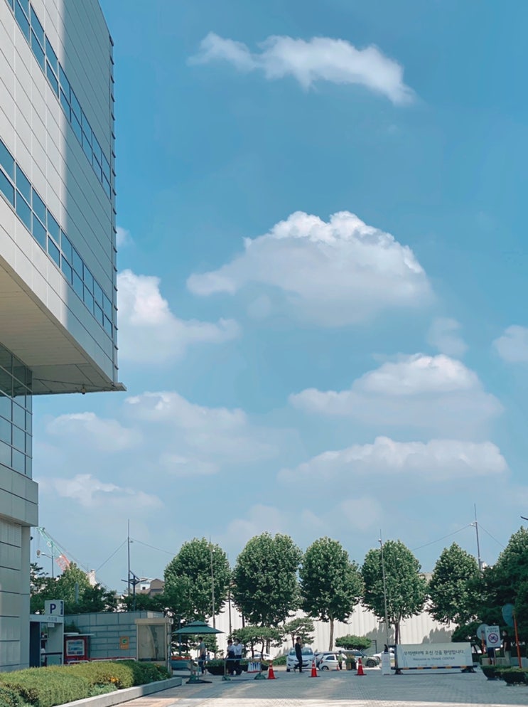  [일상] Hot Summer Day