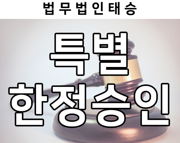  특별한정승인의 개념과 이해