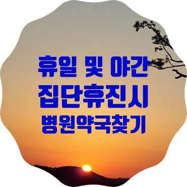  의료협회 집단휴진(8.26~28), 명절 연휴, 야간 등에 문을 여는 의료기관 찾는 사이트 소개