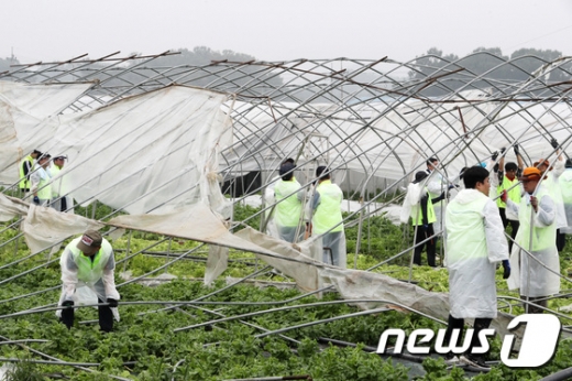 [똑똑보험] 태풍 '바비' 북상하는데… '풍수해보험' 오늘 가입해도 될까