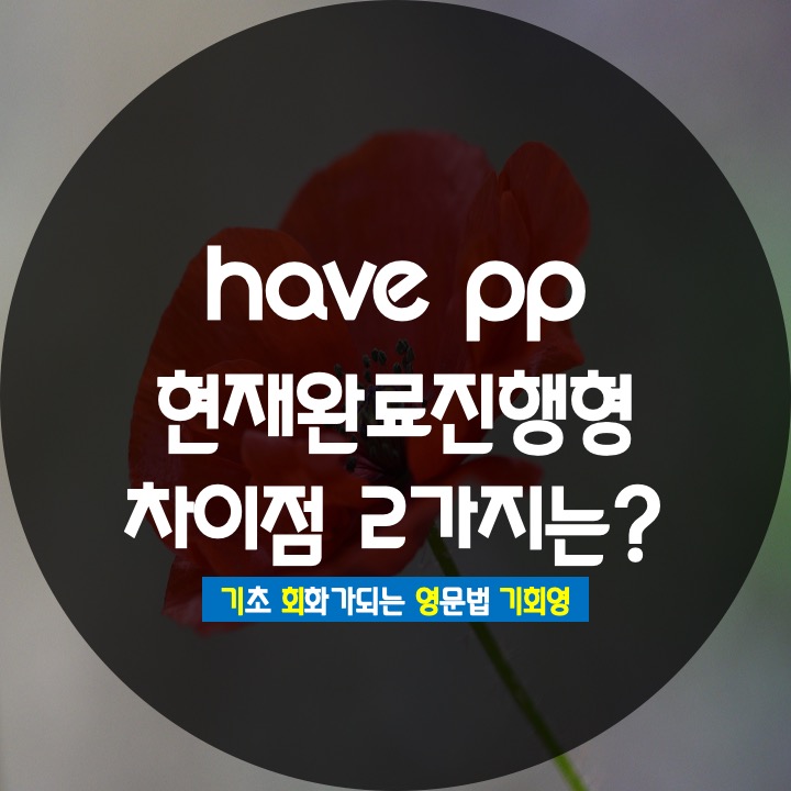  have pp 와 현재완료 진행형 차이점  2가지는? 기회영