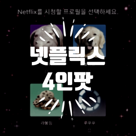  넷플릭스 4인팟 하는 제일 쉬운 방법! (월 3600원)