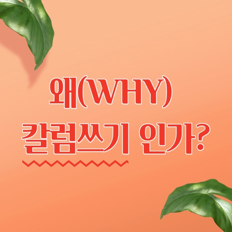  왜(WHY) 칼럼쓰기 인가?
