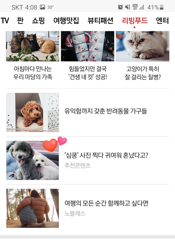 네이트메인 애봉 둘봉이가 떴다 네이트판은 기념