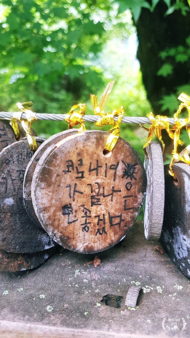  양평 용문사 산책 은행나무와 소원다리 아이의 소망이 담긴 곳