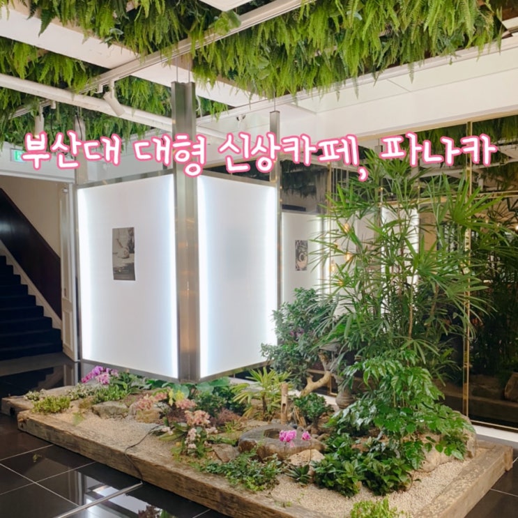  [ 부산대카페 ] 대형 신상카페 파나카