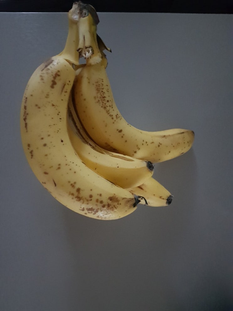 바나나 보관방법 칼로리 효능