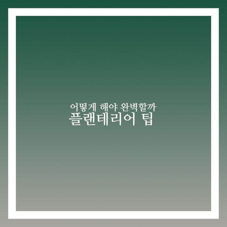  플랜테리어 어떻게 해야 성공하지?