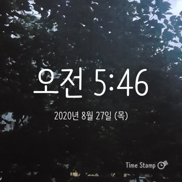  미라클모닝 ㅡ 모모 0827