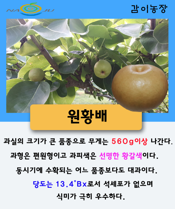원황배 원황배