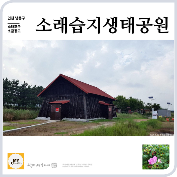  인천 소래습지생태공원 걷거나 자전거 타기 좋은 곳