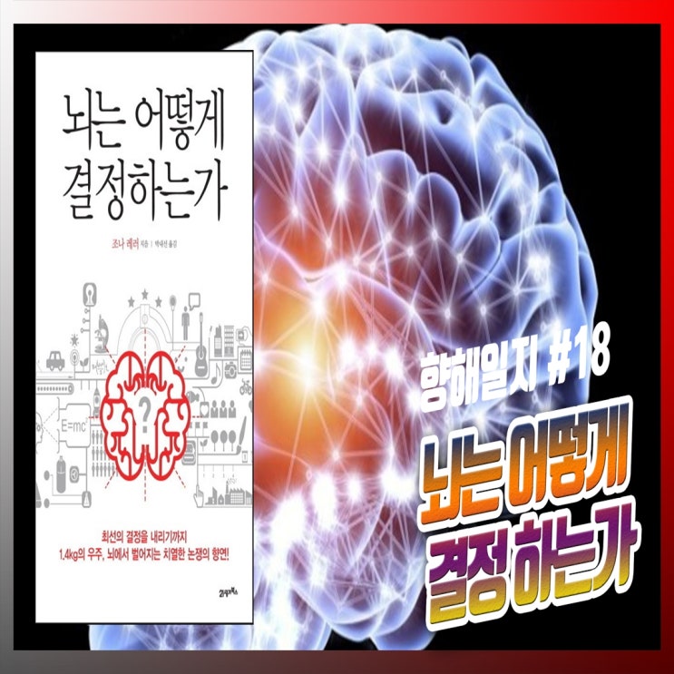  <뇌 과학 책>뇌는 어떻게 결정하는가