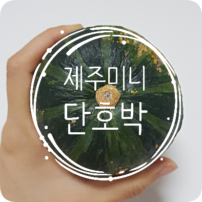  프레시어글리, 절대 못생기지 않은! 자취생이 먹기 좋은 제주 미니단호박